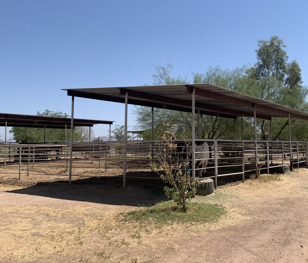 Horse Boarding Stalls