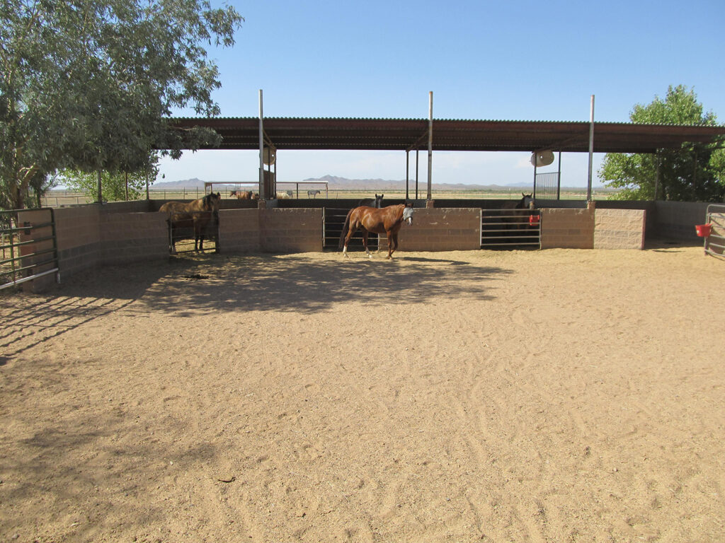 Horse Boarding Turnout