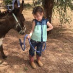 Little girl and donkey