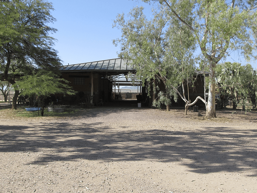 Rice Quarter Horses Barn