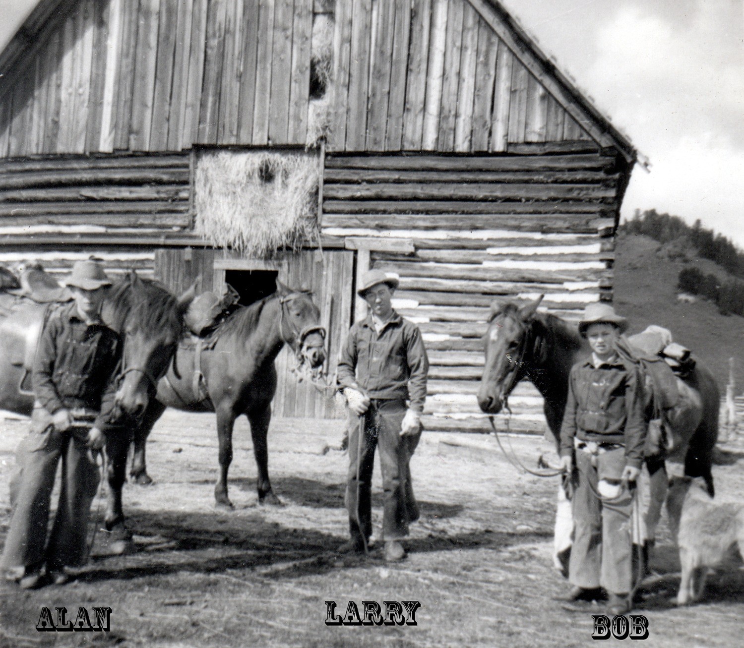 Rice Quarter Horses About Us • Rice Quarter Horses
